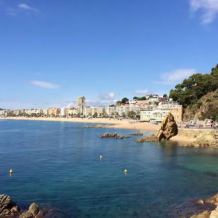 Daire Lux 3-bedroom In The Center